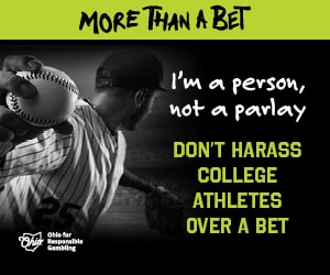 Digital Display Ads - Winter Sports