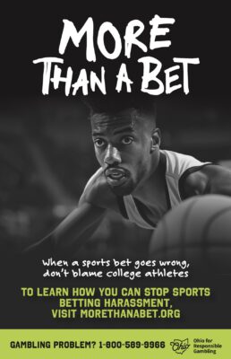 Posters - Winter Sports